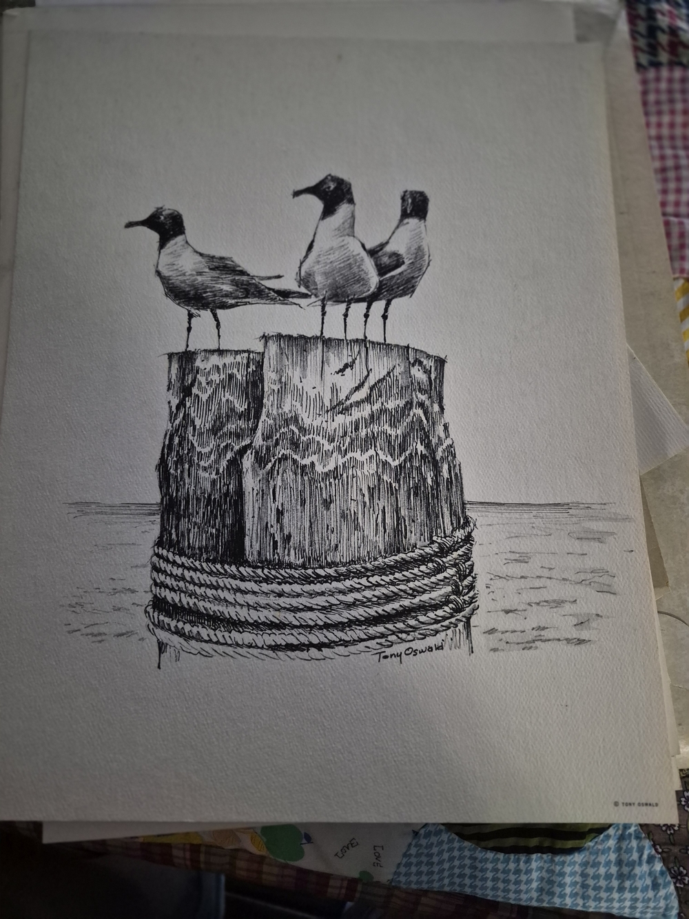 Tony Oswall Seagulls on Pier Post Black & White Art Print by